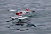 Wasserfliegen Beckenried 2023 
