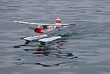 Wasserfliegen Beckenried 2023 
