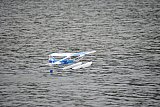 Wasserfliegen Bichelsee 2021