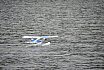 Wasserfliegen Bichelsee 2021