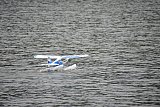 Wasserfliegen Bichelsee 2021