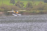 Wasserfliegen Bichelsee 2021