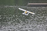 Wasserfliegen Bichelsee 2021