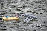 Wasserfliegen Bichelsee 2021