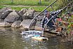Wasserfliegen Bichelsee 2021