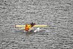 Wasserfliegen Bichelsee 2021