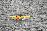 Wasserfliegen Bichelsee 2021