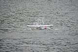 Wasserfliegen Bichelsee 2021