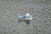 Wasserfliegen Bichelsee 2021