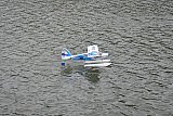 Wasserfliegen Bichelsee 2021