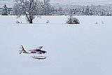 Schneefliegen 2021