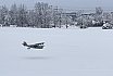 Schneefliegen 2021