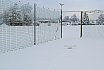 Schneefliegen 2021